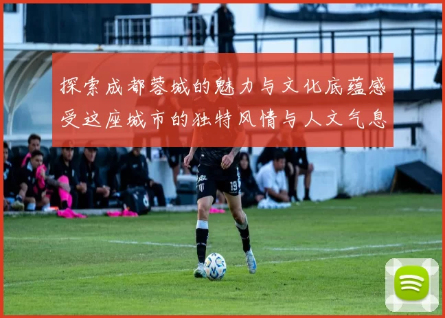 探索成都蓉城的魅力与文化底蕴感受这座城市的独特风情与人文气息