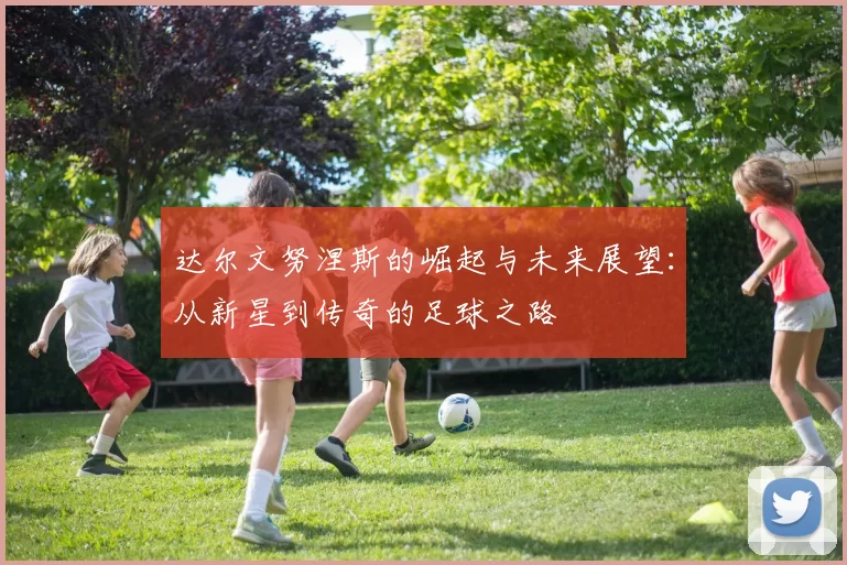 达尔文努涅斯的崛起与未来展望：从新星到传奇的足球之路