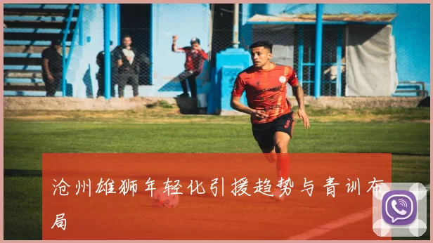 沧州雄狮年轻化引援趋势与青训布局