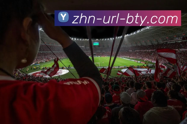 b体育官网APP 体育赛事宣传图